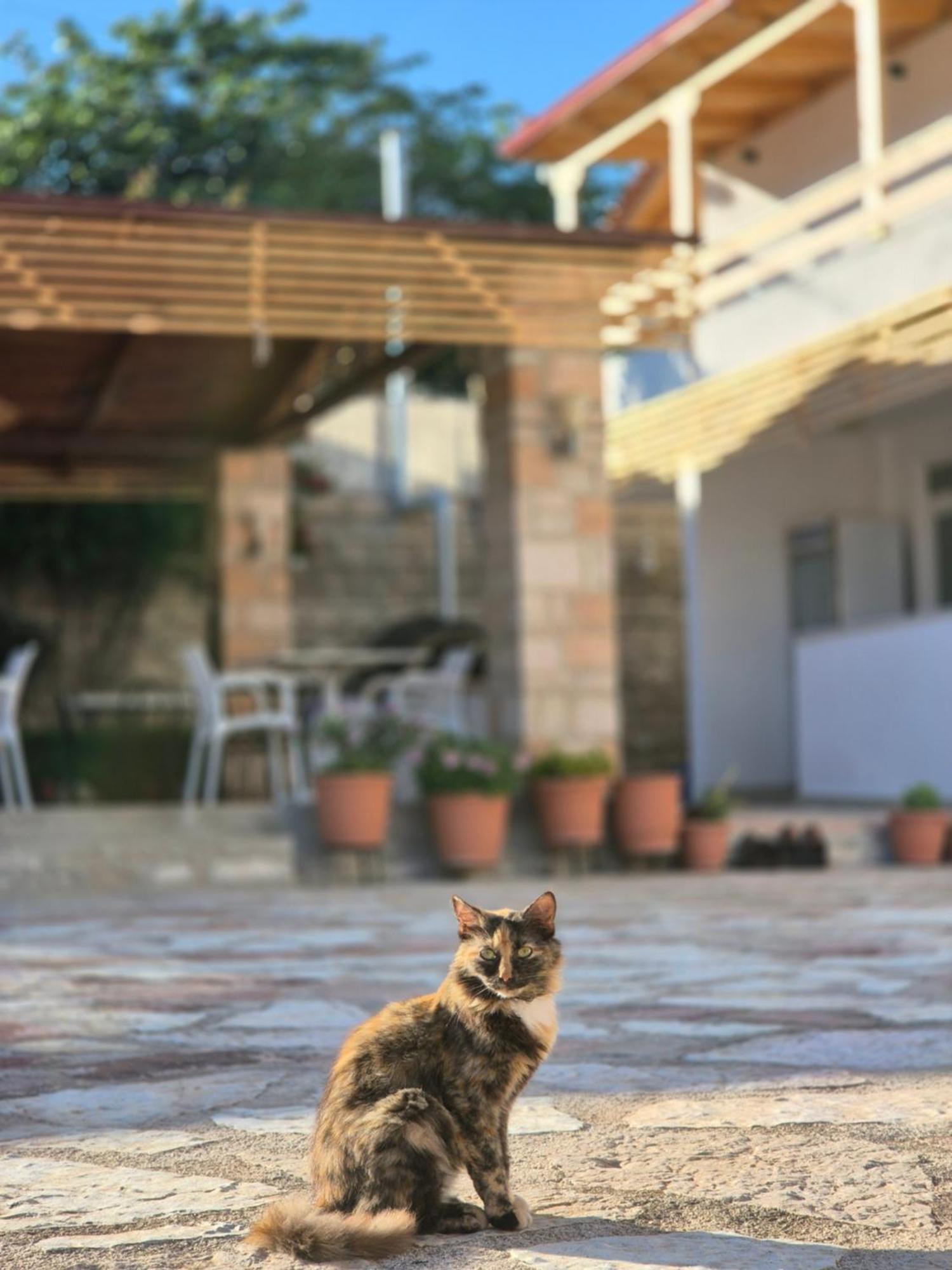 Villa Josana Sarandë Buitenkant foto